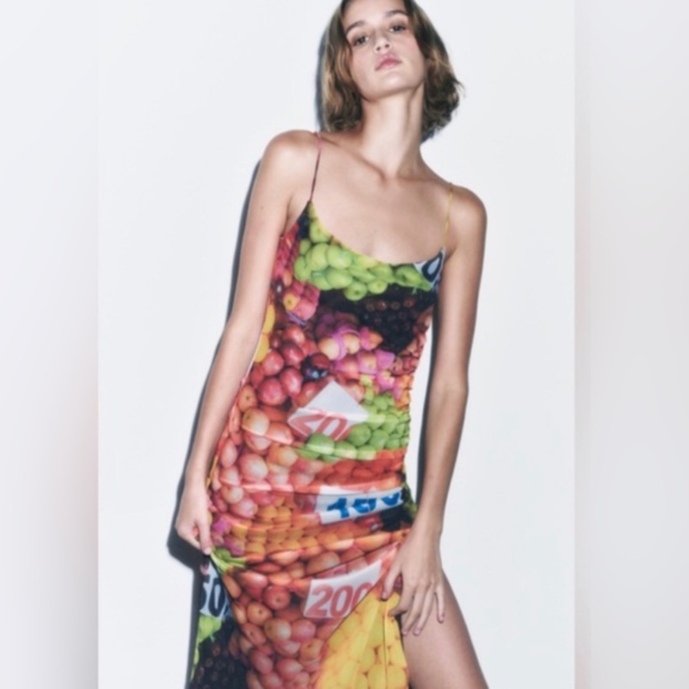 Zara Fruit Stand Mesh Slip‎ Dress Size medium new